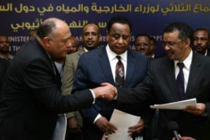 French Companies Tapped To Study Nile Dam Project