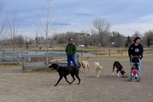 Highlands Ranch Dog Parks