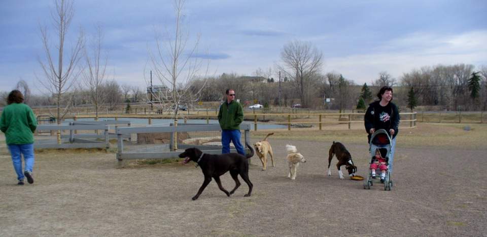 Highlands Ranch Dog Parks